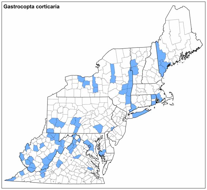 Gastrocopta corticaria Range Map